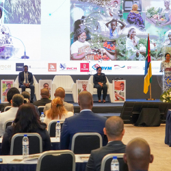 Lançamento da Estratégia Nacional de Inclusão Financeira